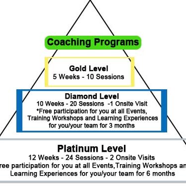 Pyramid diagram of coaching program levels.